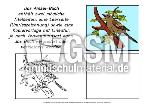 Mini-Buch-Amsel-A.pdf